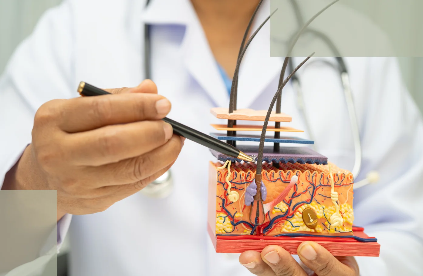 Follicle Activation Ingredients The Scientific Core of Postpartum Hair Loss Recovery