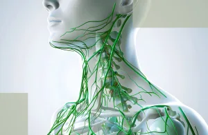 Immune Reset and Postpartum Hair Loss The Overlooked Mechanism Behind Sensitive Scalps and Slow Recovery