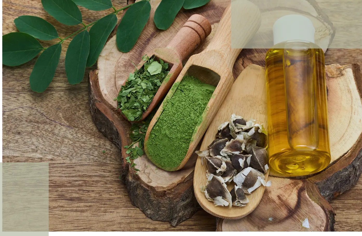 Ingredient Misconceptions in Postpartum Hair Care Why Gentle Science Matters More Than Trendy Labels