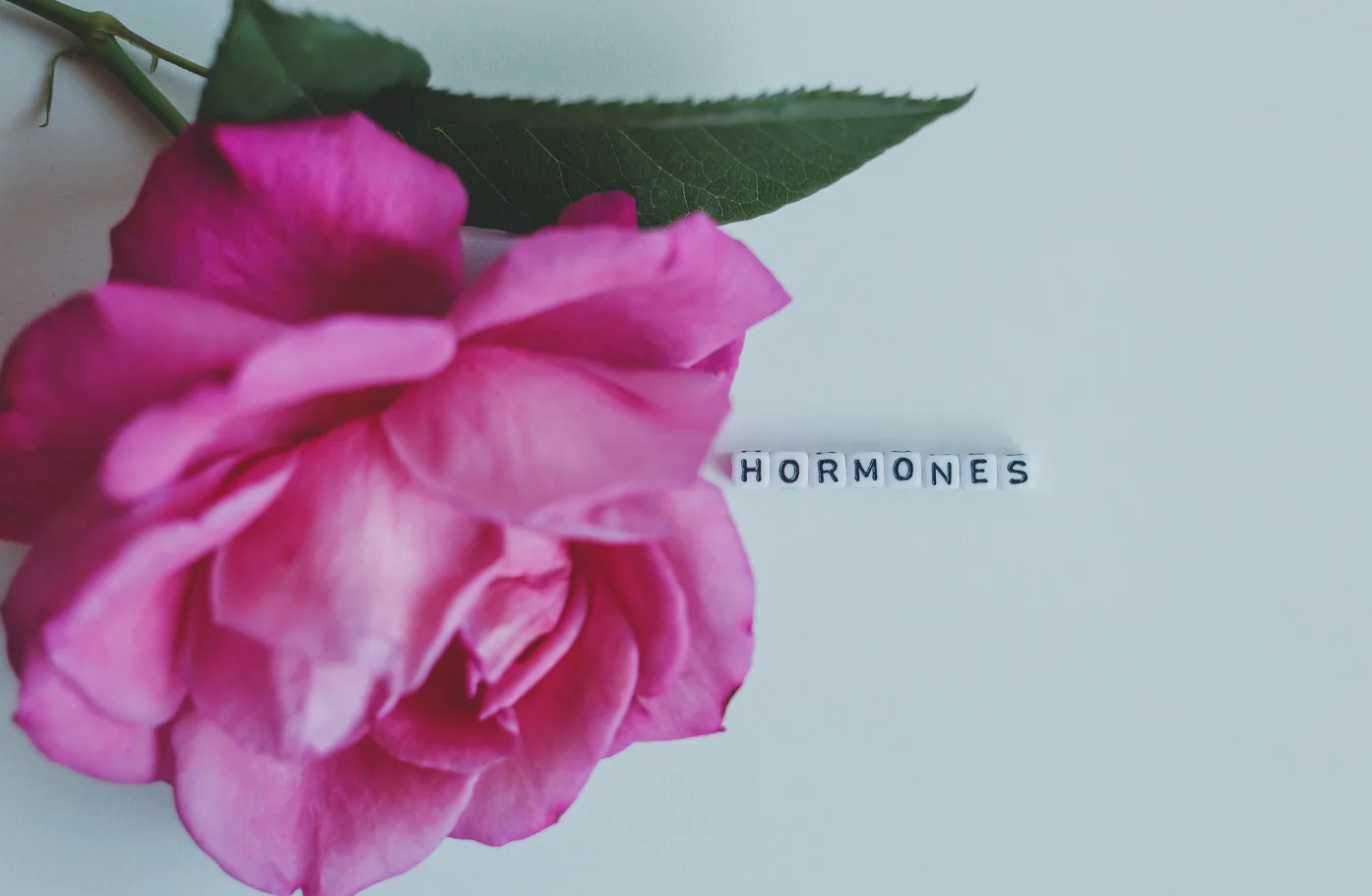 Genetic Susceptibility in Hormonal Hair LossWhy Hair Thinning So Often “Runs in the Family”