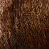 Hair Fiber Repair Why Visual Density Matters Just as Much During Recovery