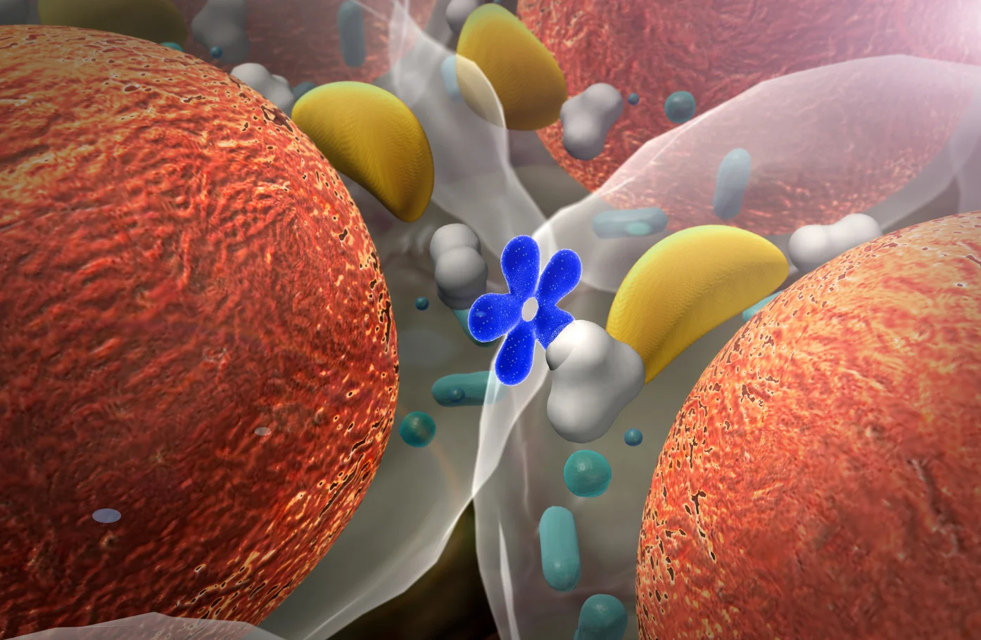 Menopause-Related Hair Loss Isn’t About “Suddenly Aging”It’s About Weakened Protective Signals