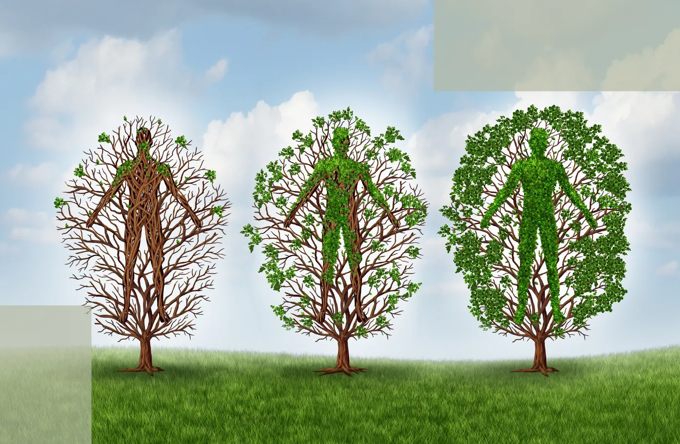 Step 6 of Stress Hair Loss Recovery Reducing Inflammatory Background and Rebuilding the Follicle Environment — Why This Step Determines Whether Shedding Returns