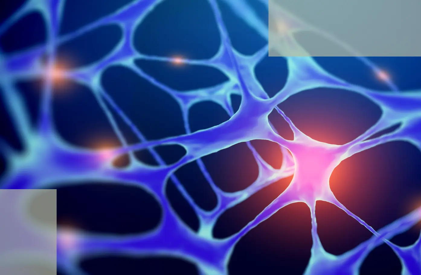 The First Switch of Stress Hair Loss_ Why Chronic Sympathetic Activation Forces Hair Follicles Into “Sleep Mode”