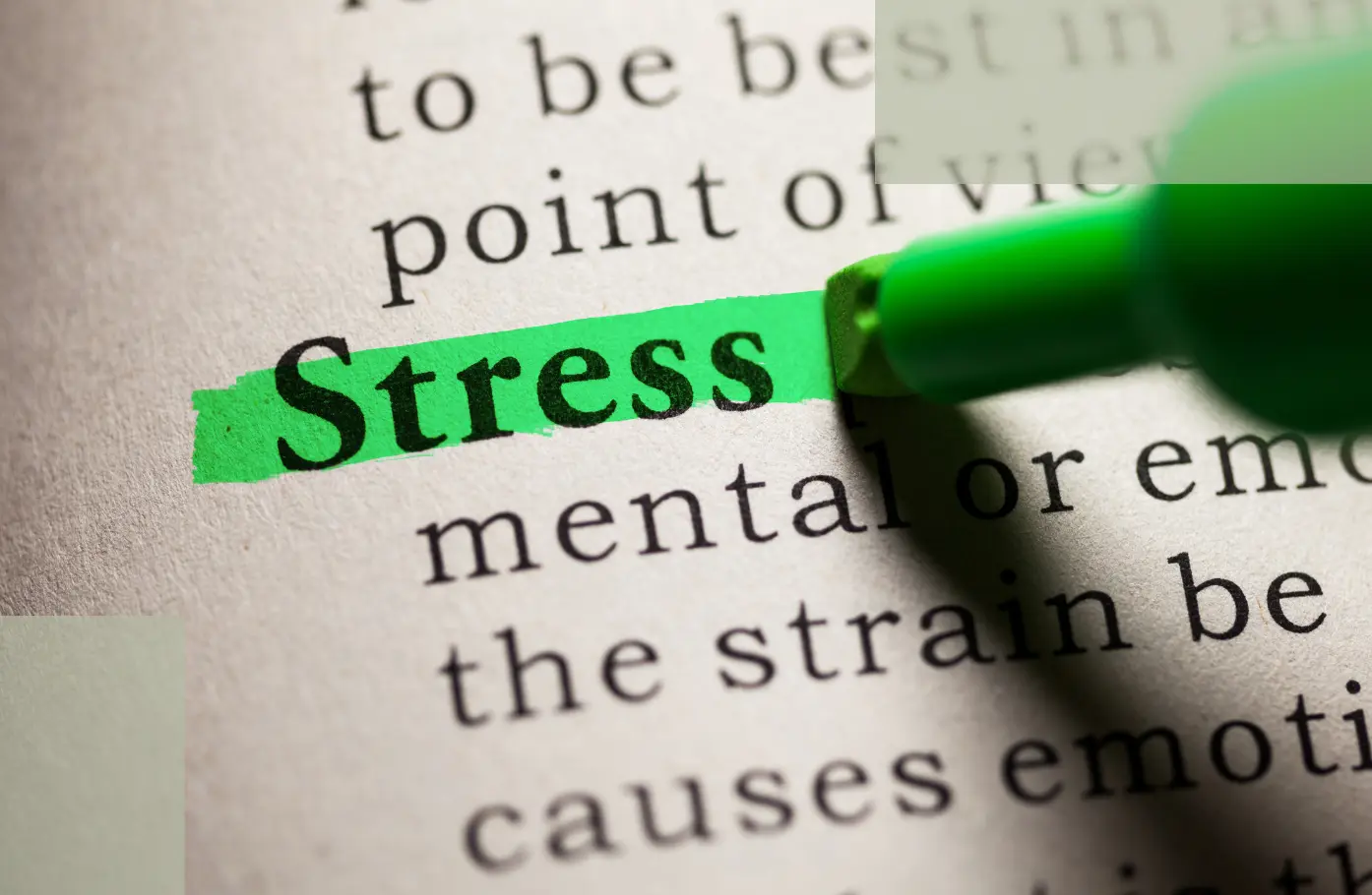 The Physiology Behind Stress Hair Loss_ What’s Really Happening Inside the Body