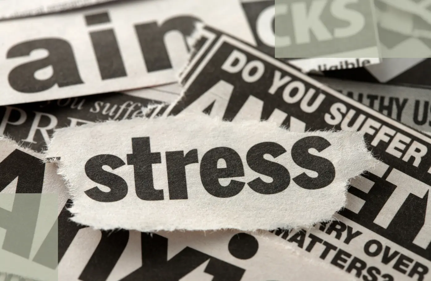 The Psychological Side of Stress Hair LossWhat Truly Affects Recovery Is Not Emotional Intensity — But Sustained State