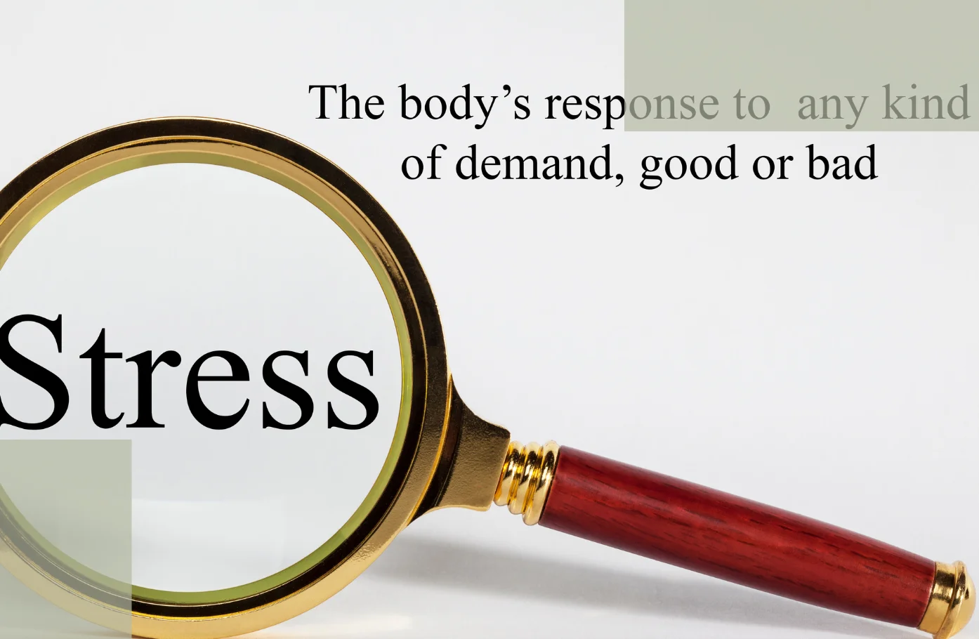 The Real Causes of Stress Hair Loss What Actually Triggers Shedding Is More Than Just “Stress”