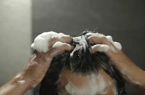 “Avoiding Shampoo Less is More” — Why This Can Make Your Scalp Worse