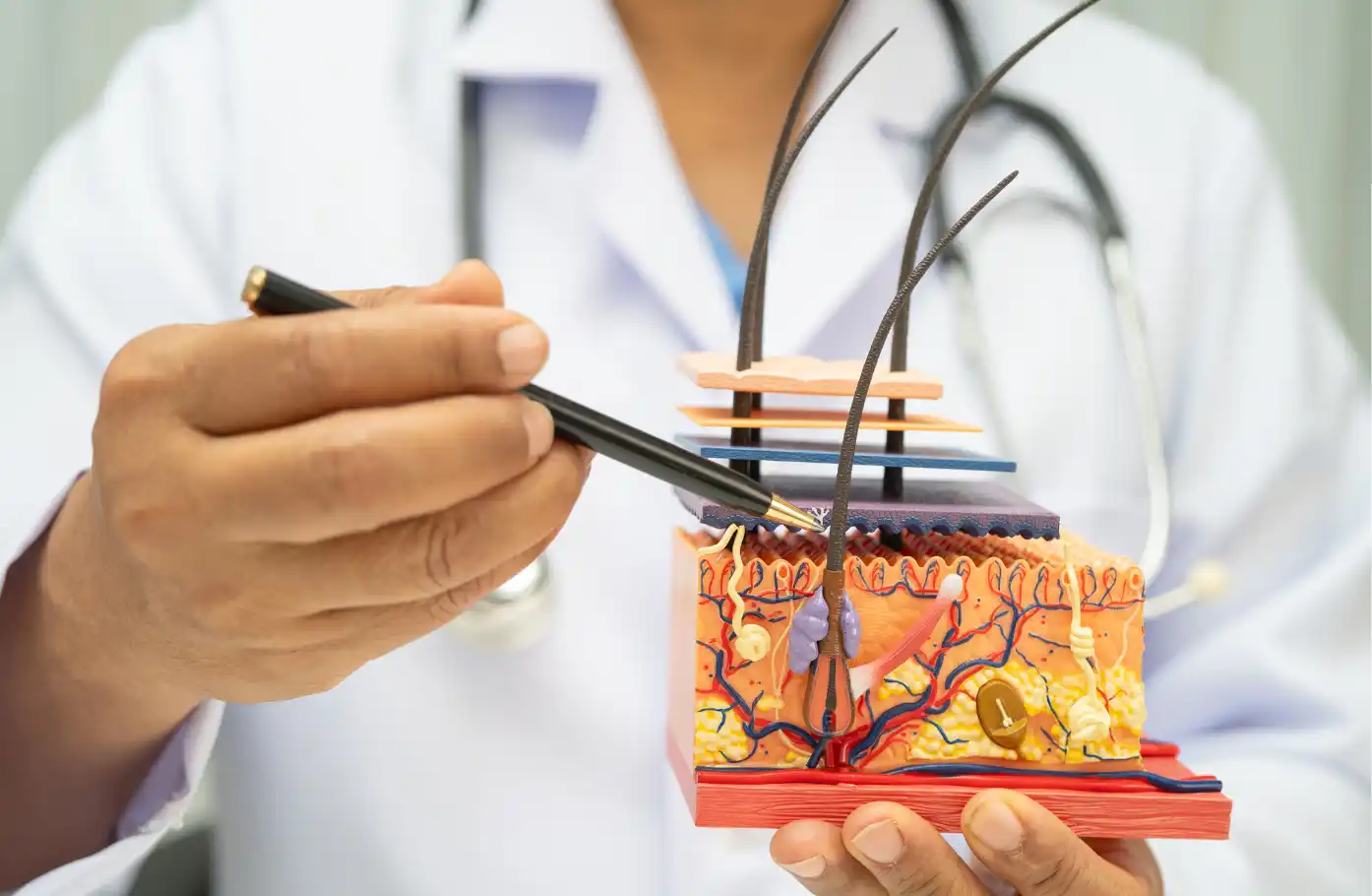 Zinc A Key Micronutrient for Inflammation Control, Sebum Balance, and Hair Follicle Metabolism