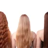 The 3 Phases of Hair Regrowth Which Stage Are You In