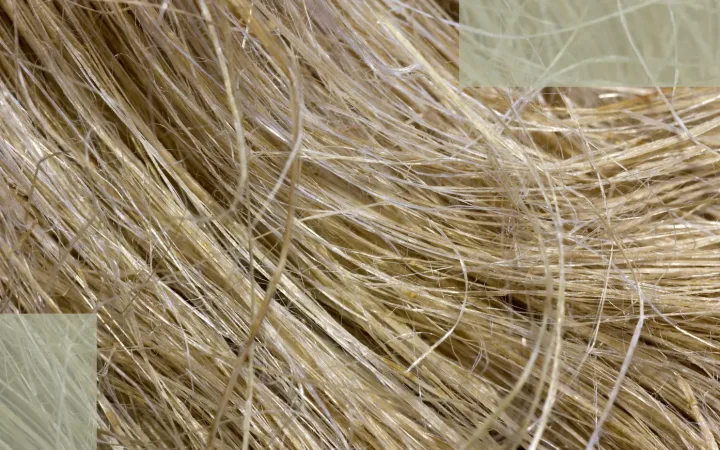 Barrier Repair The Overlooked Foundation That Determines Postpartum Hair-Loss Recovery Speed