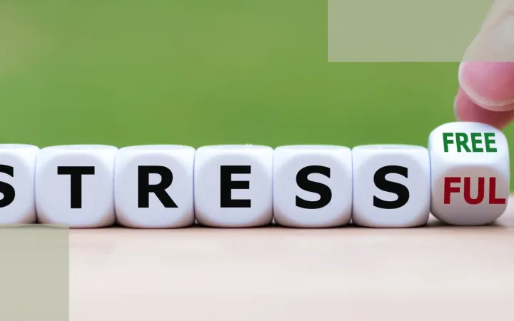 Causes and Risk Factors of Stress Hair Loss_ Why It’s More Than Just “Being Stressed”