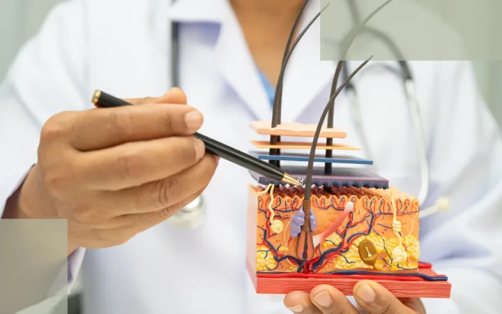 Follicle Activation Ingredients The Scientific Core of Postpartum Hair Loss Recovery