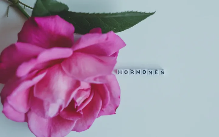 Genetic Susceptibility in Hormonal Hair LossWhy Hair Thinning So Often “Runs in the Family”