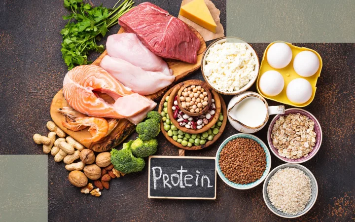 High-Quality Protein — The “Building Material” of Keratin That Shapes Postpartum Regrowth Speed and Hair Quality