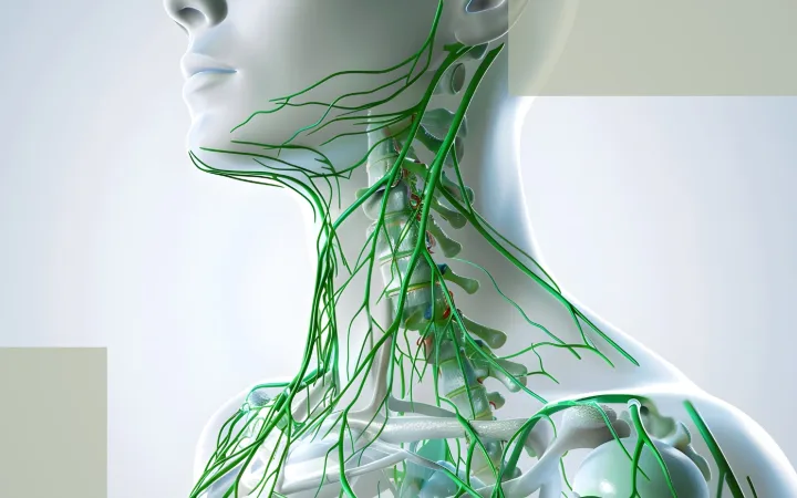 Immune Reset and Postpartum Hair Loss The Overlooked Mechanism Behind Sensitive Scalps and Slow Recovery