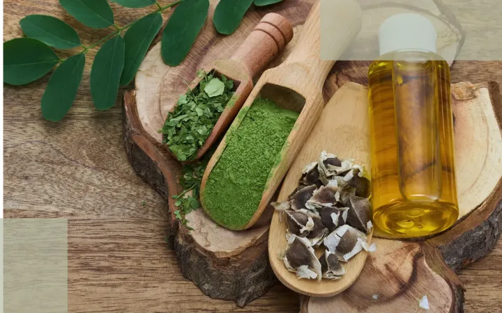 Ingredient Misconceptions in Postpartum Hair Care Why Gentle Science Matters More Than Trendy Labels