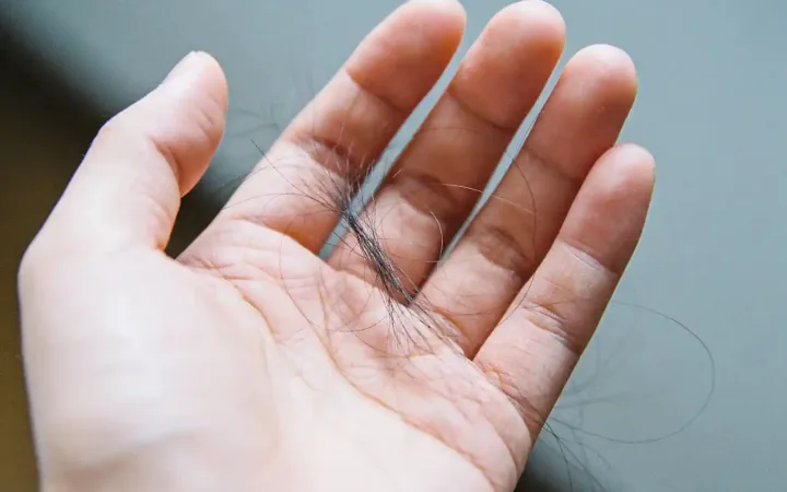 Mechanism 3 Why Low Ferritin Keeps Your Hair Falling — Hair Follicles Lose “Growth Permission”