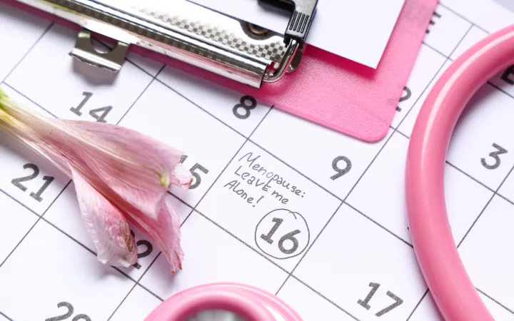 Menopause Estrogen-Decline Hair Loss Timeline When Does It Accelerate Most