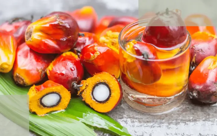 Natural Remedies for Hair Growth- What’s Backed by Science