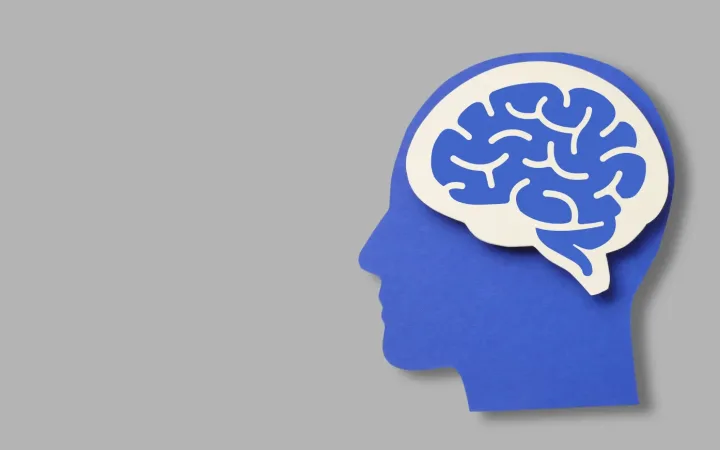 Postpartum Hair Loss and Hormonal Fluctuations Understanding the Core Mechanism and Supporting a Healthy Recovery