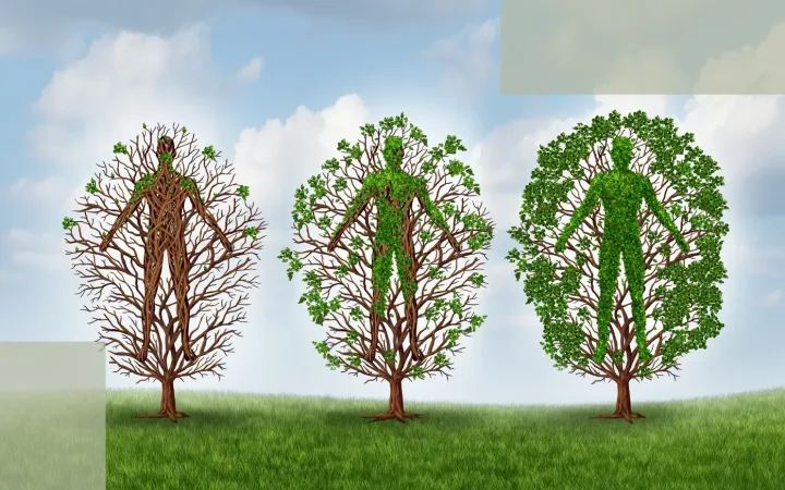 Step 6 of Stress Hair Loss Recovery Reducing Inflammatory Background and Rebuilding the Follicle Environment — Why This Step Determines Whether Shedding Returns