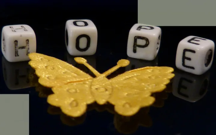 The First Step of Stress Hair Loss Recovery How Cortisol Signals That Stress Has Truly Ended