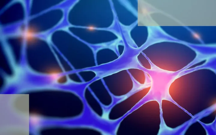 The First Switch of Stress Hair Loss_ Why Chronic Sympathetic Activation Forces Hair Follicles Into “Sleep Mode”