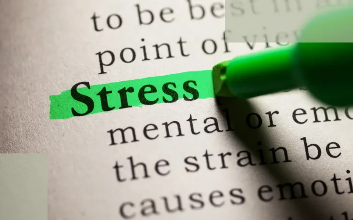 The Physiology Behind Stress Hair Loss_ What’s Really Happening Inside the Body