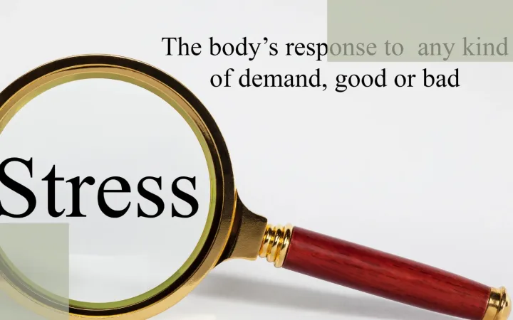 The Real Causes of Stress Hair Loss What Actually Triggers Shedding Is More Than Just “Stress”
