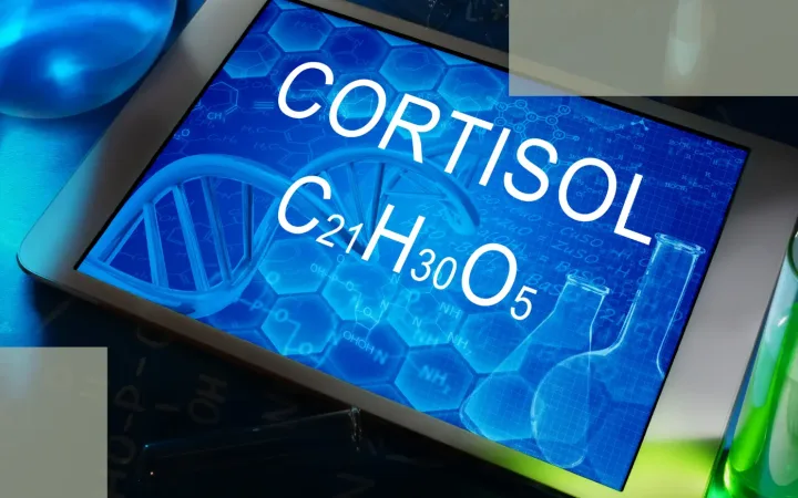 The Second Mechanism of Stress Hair Loss Why Cortisol Presses the “Pause Button” on Hair Growth