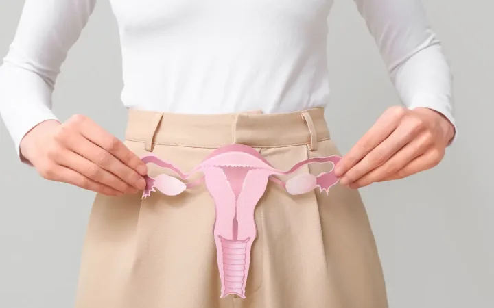 Why Does Hormonal Hair Loss Happen A Core Mechanism Overview How Hair Follicle Cycles Are Reset by the Body’s Signaling Systems