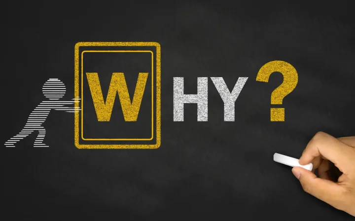 Why Hair Doesn’t Regrow Immediately (And Why That’s Normal)