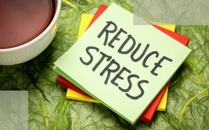 Why Obsessing Over Progress Slows Stress Hair Loss Recovery—and Why “Watching Closely” Feels Right but Backfires