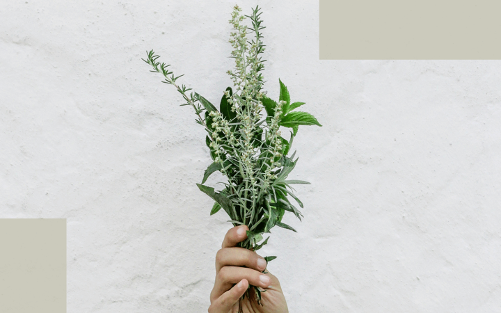 rosemary